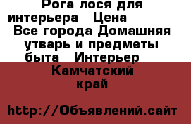 Рога лося для интерьера › Цена ­ 3 300 - Все города Домашняя утварь и предметы быта » Интерьер   . Камчатский край